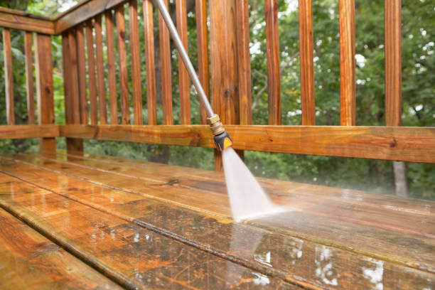 Best Soft Washing for Delicate Surfaces in Oostburg, WI